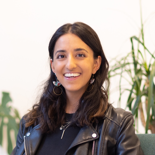 Meera Somji - Clusivity