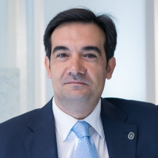 Carlos Guerrero Pozuelo - Bureau Veritas